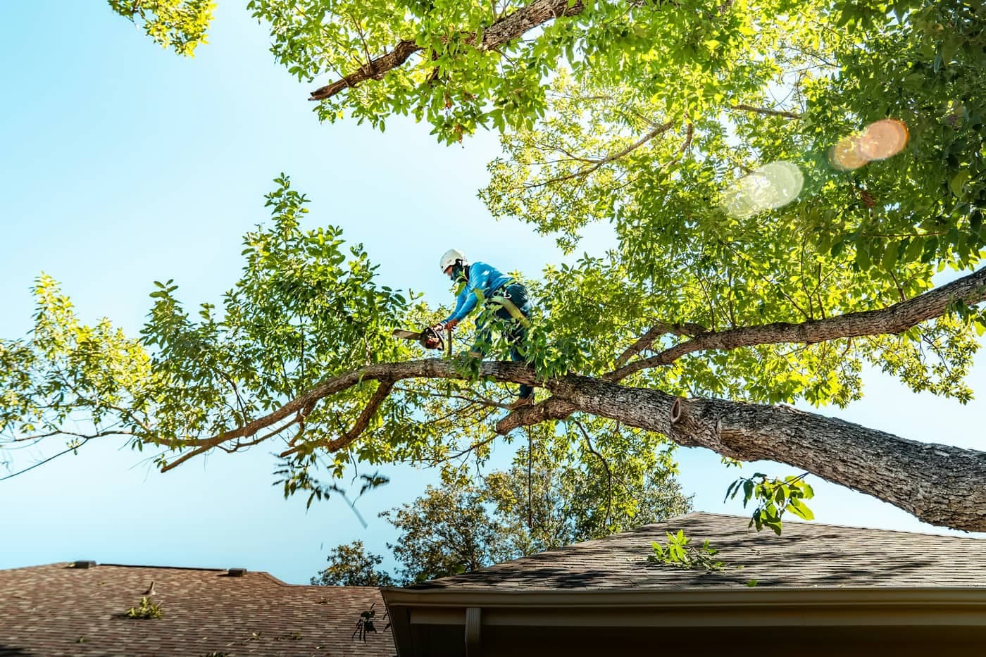 Cut-A-Way Tree Services